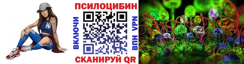 нарко площадка какой сайт  гидра как зайти  Облучье  Псилоцибиновые грибы Psilocybe 